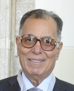 Prof. Dr. Fathi Waly