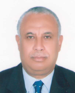 Taher Hozayen
